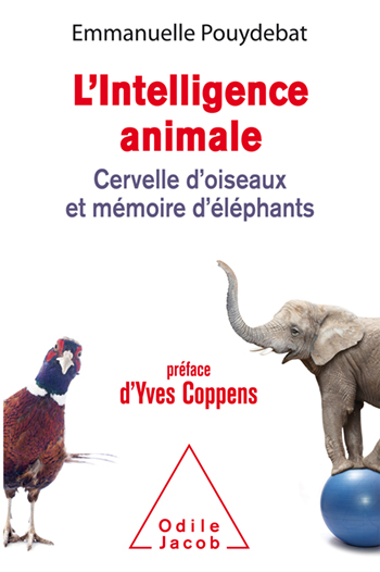 Animal Intelligence
